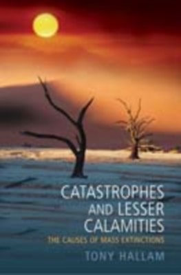 Catastrophes and Lesser Calamities