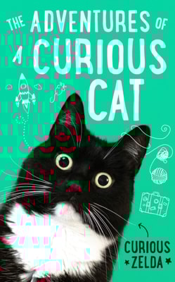 Adventures of a Curious Cat