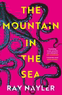 Mountain in the Sea