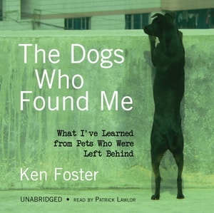 Dogs Who Found Me
