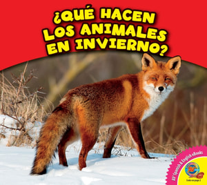 ¿Qué hacen los animales en invierno?