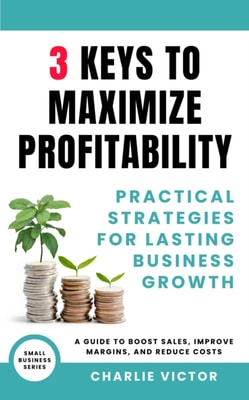 3 Keys to Maximize Profitability - Practical Strategies for Lasting Business Growth