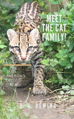 Meet the Cat Family! Latin America's Ocelot Lineage