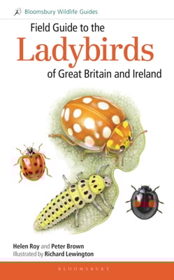 Bats of Britain and Europe