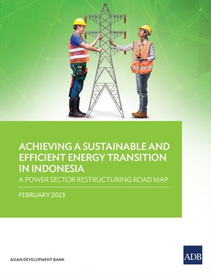 Achieving a Sustainable and Efficient Energy Transition in Indonesia