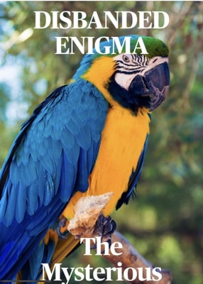 Disbanded Enigma