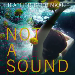 Not A Sound