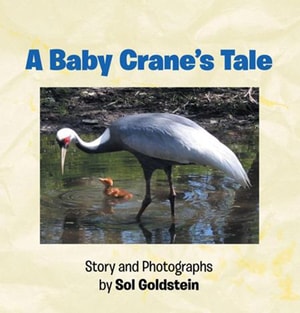Baby Crane's Tale