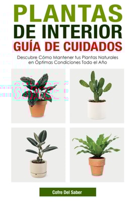 Plantas de Interior Guía de Cuidados: Descubre Cómo Mantener tus Plantas Naturales en Óptimas Condiciones Todo el Año