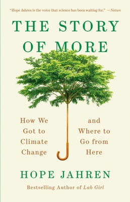 Story of More