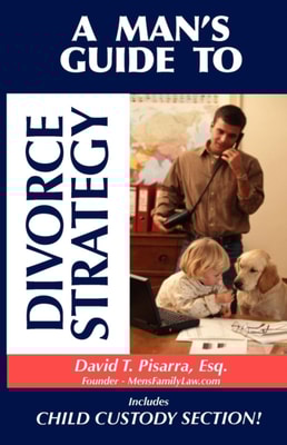 Man's Guide to Divorce Strategy
