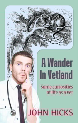 Wander in Vetland