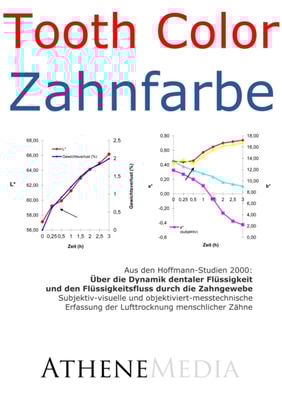 Über die Dynamik dentaler Flüssigkeit und den Flüssigkeitsfluss durch die Zahngewebe