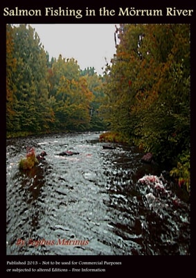 Salmon Fishing in the Morrum River