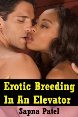 Erotic Breeding In An Elevator