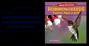 Hummingbirds: Faster Than a Jet!