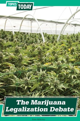 Marijuana Legalization Debate