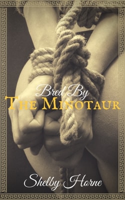 Becoming Her Master's Fantasy