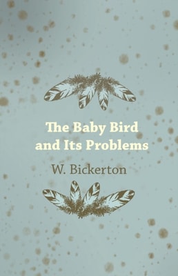 Baby Bird and Its Problems