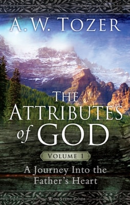 Attributes of God Volume 1