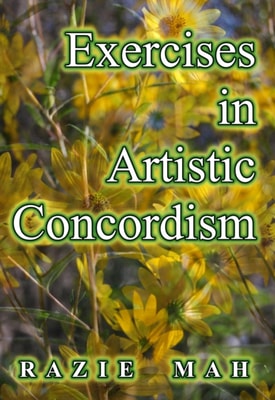 Exercises in Artistic Concordism