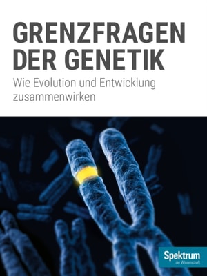Spektrum Kompakt - Welt der Qubits