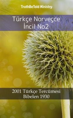 Türkçe Norveçce İncil No2