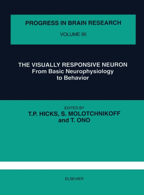 Visually Responsive Neuron