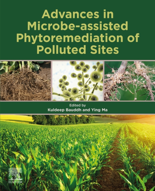 Advances in Microbe-assisted Phytoremediation of Polluted Sites