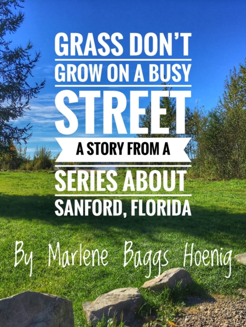 Grass Don't Grow On A Busy Street - A short story from my hometown of Sanford, Florida Series