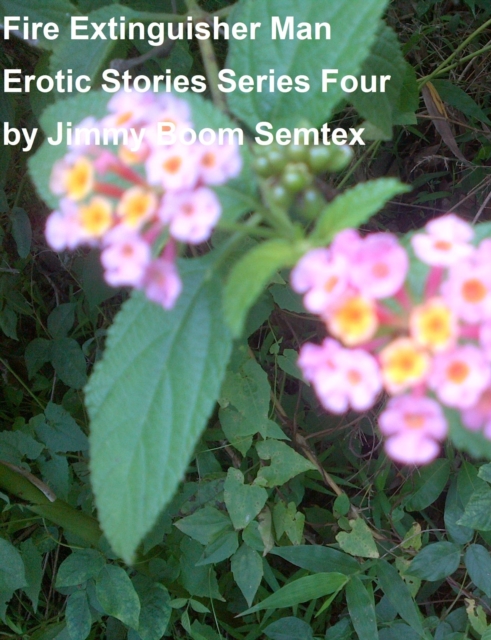 Fire Extinguisher Man Erotic Stories Series Four