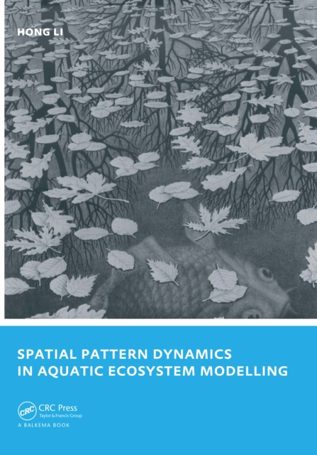 Spatial Pattern Dynamics in Aquatic Ecosystem Modelling
