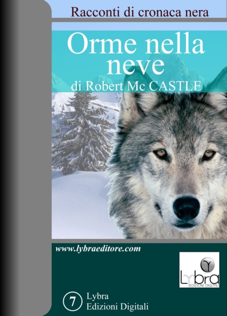 Orme nella neve