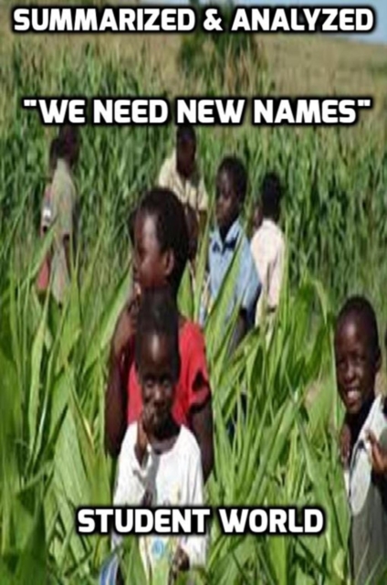 Summarized & Analyzed &quote;We Need New Names&quote;