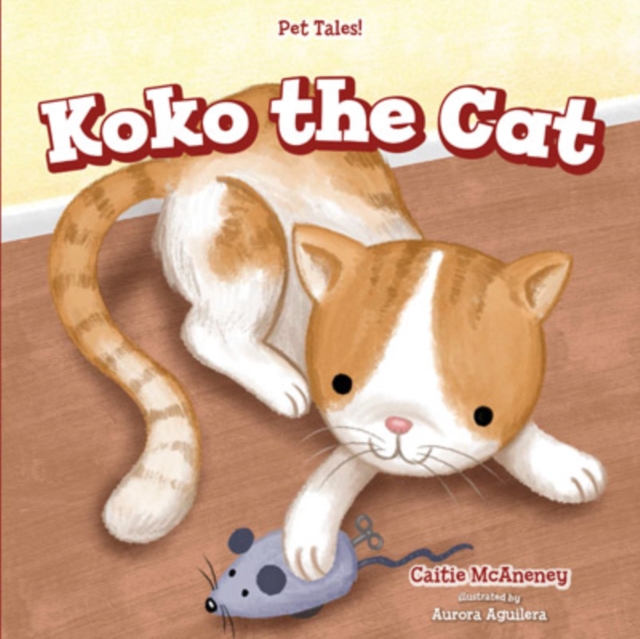 Koko the Cat