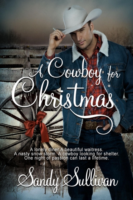 Cowboy for Christmas
