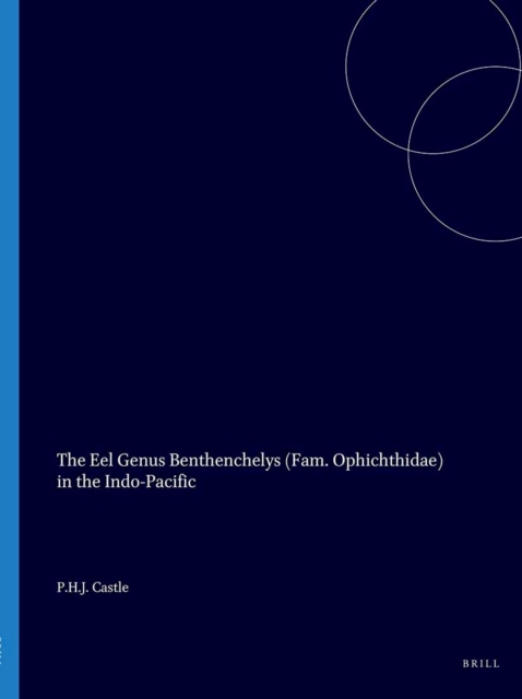 Eel genus Benthenchelys (fam. Ophichthidae) in the Indo-Pacific