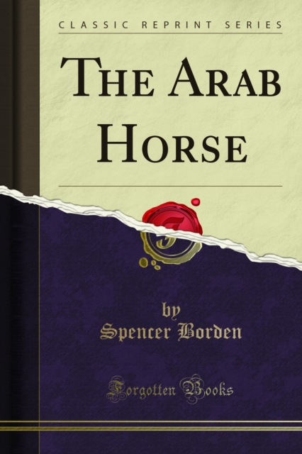 Arab Horse