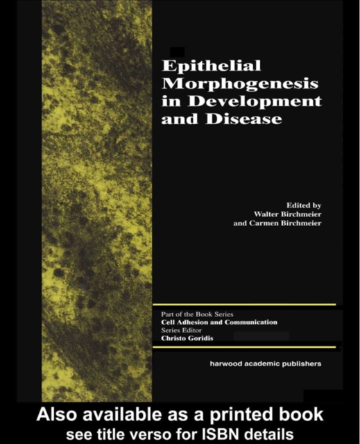 Epithelial Morphogenesis in Development and Disease