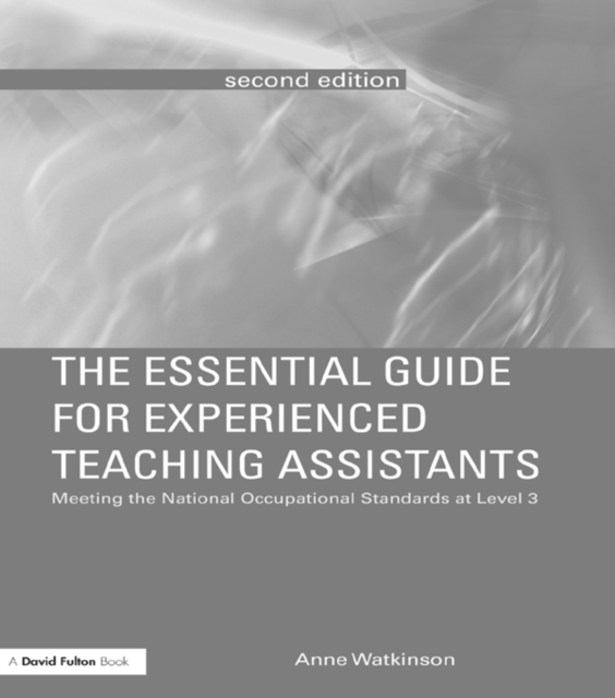 Essential Guide for Experienced Teaching Assistants