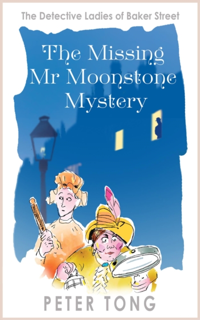 Missing Mr Moonstone Mystery