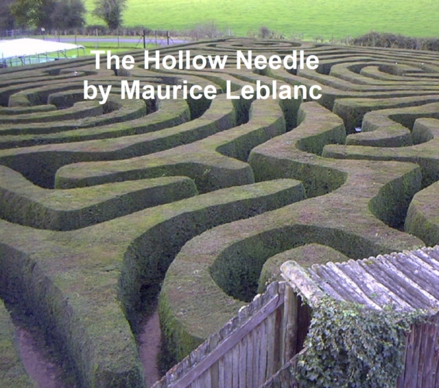 Hollow Needle