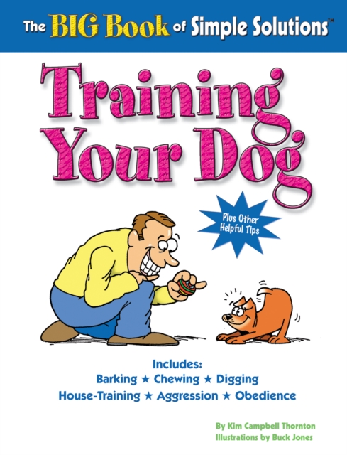 Big Book of Simple Solutions