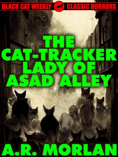 Cat-Tracker Lady of Asad Alley