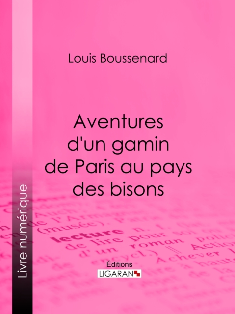 Aventures d'un gamin de Paris au pays des bisons
