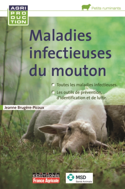 Maladies infectieuses du mouton