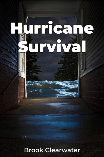 Hurricane Survival