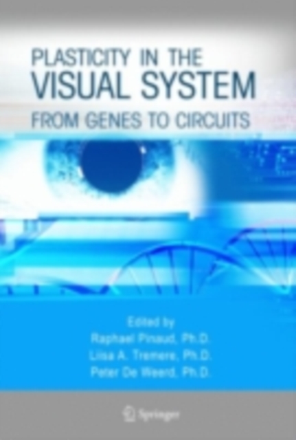 Plasticity in the Visual System