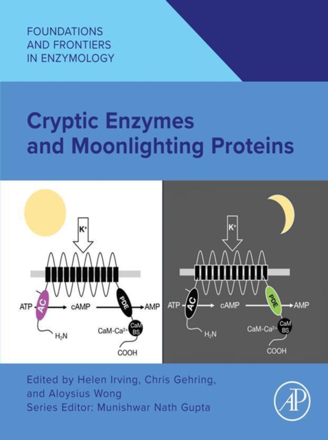 Cryptic Enzymes and Moonlighting Proteins
