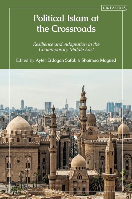 Political Islam at the Crossroads
